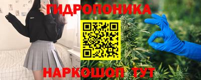 соль ск Лесосибирск