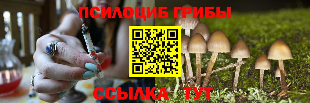 Псилоцибиновые грибы Magic Shrooms  Псилоцибиновые грибы GOLDEN TEACHER  Вход с VPN  Ставрополь 