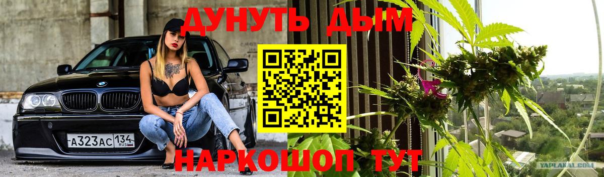 Бошки Шишки SATIVA & INDICA  Каннабис конопля  МАРИХУАНА Ganja  Ставрополь  Вход с VPN 